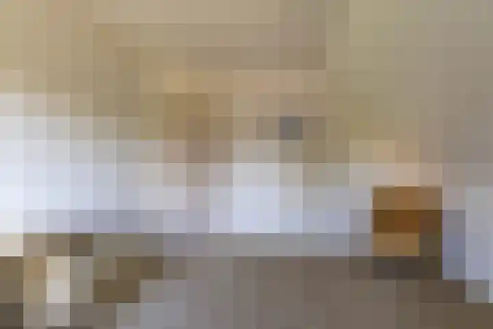 Pastorietuin 4 Harkstede thumbnail 33