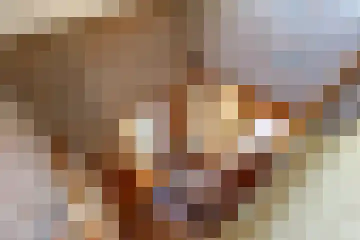 Pastorietuin 4 Harkstede thumbnail 35