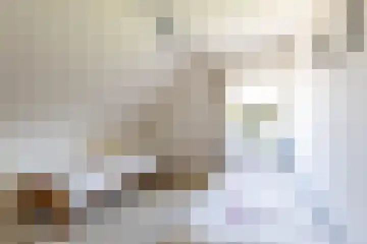 Pastorietuin 4 Harkstede thumbnail 41