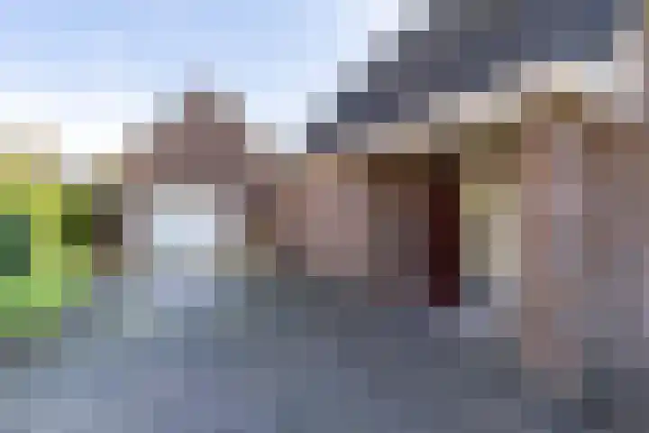 Pastorietuin 4 Harkstede thumbnail 45