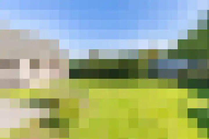 Pastorietuin 4 Harkstede thumbnail 49