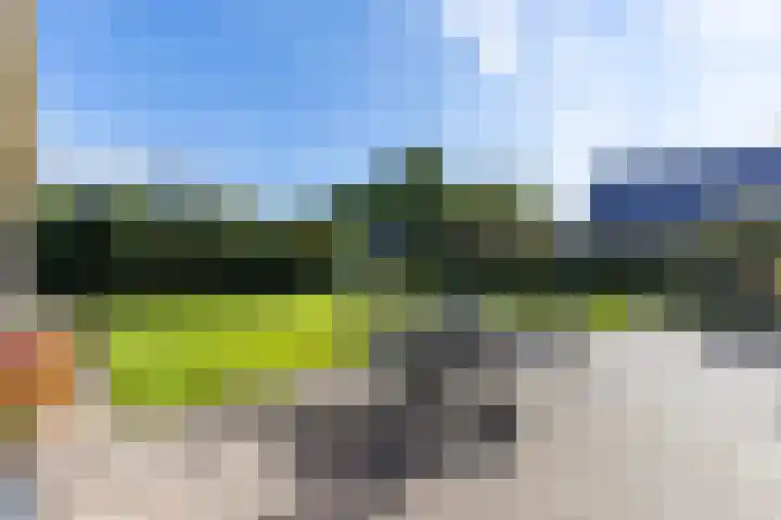 Pastorietuin 4 Harkstede thumbnail 50