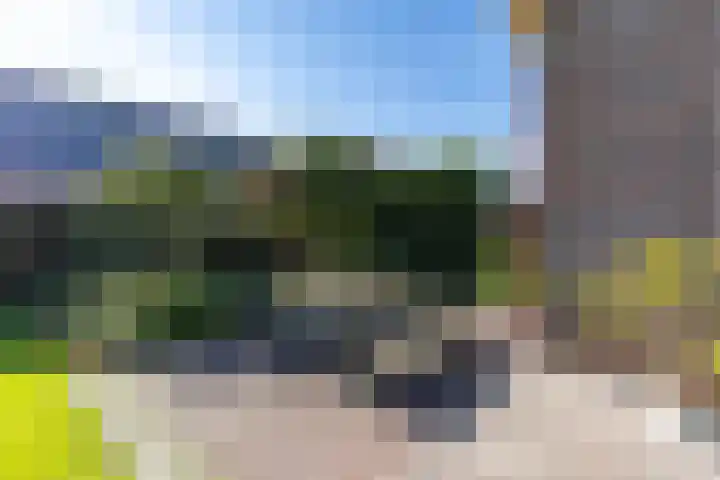 Pastorietuin 4 Harkstede thumbnail 53