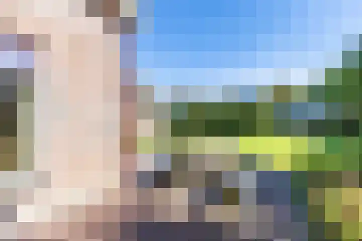 Pastorietuin 4 Harkstede thumbnail 54