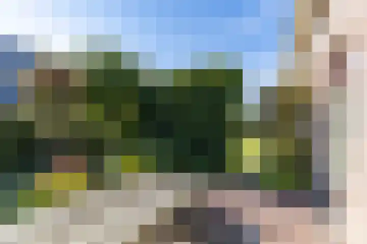 Pastorietuin 4 Harkstede thumbnail 9