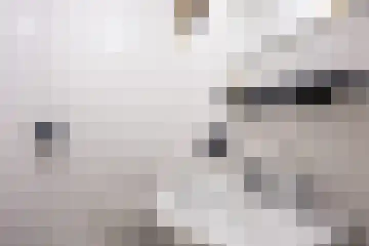 Pastorieweg 16 Warffum thumbnail 34