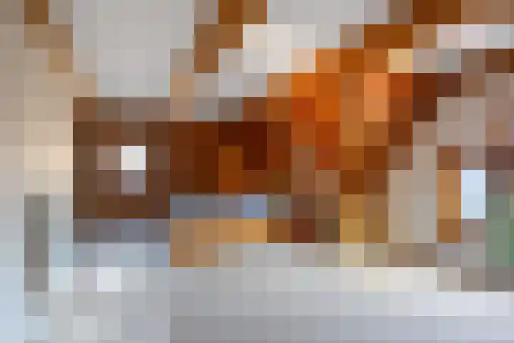 Pastorieweg 16 Warffum thumbnail 39