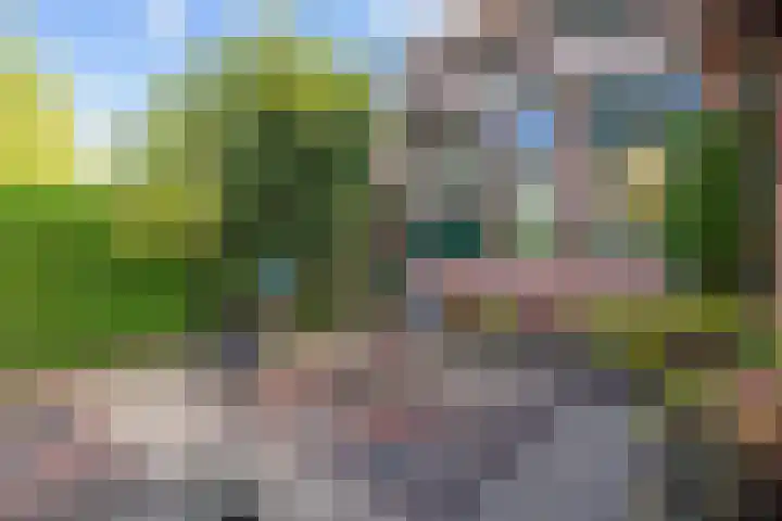 Pastorieweg 16 Warffum thumbnail 47