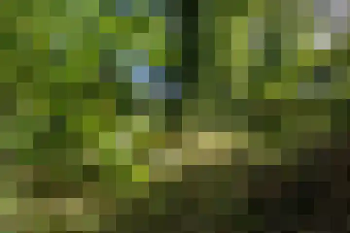 Pastorieweg 16 Warffum thumbnail 52