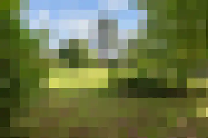 Pastorieweg 16 Warffum thumbnail 54