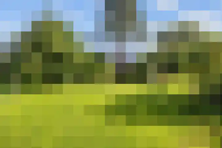 Pastorieweg 16 Warffum thumbnail 56