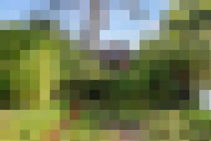 Pastorieweg 16 Warffum thumbnail 57