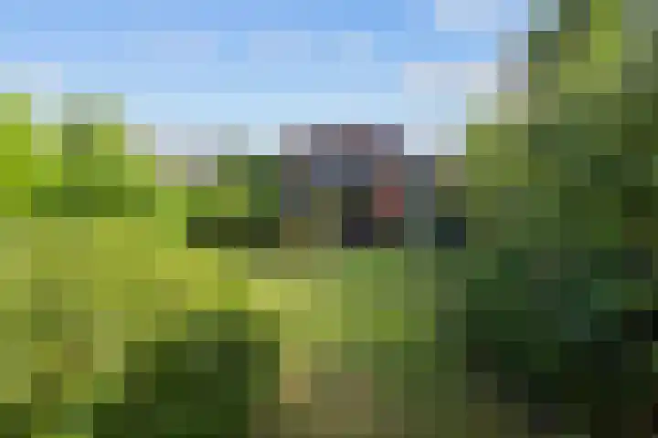 Pastorieweg 16 Warffum thumbnail 58