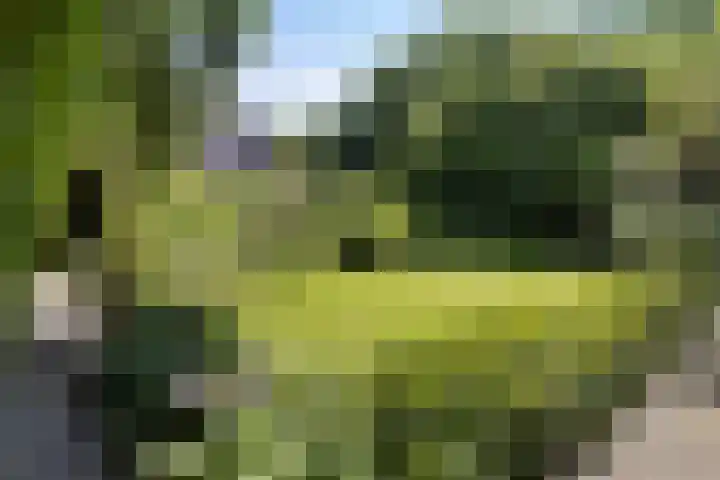 Pastorieweg 6 A Kantens thumbnail 37