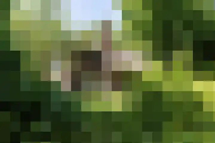 Pastorieweg 6 A Kantens thumbnail 39