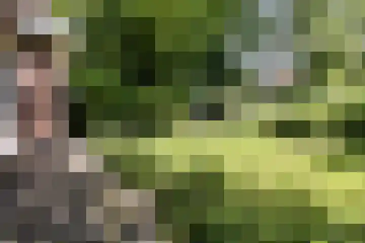 Pastorieweg 6 A Kantens thumbnail 40