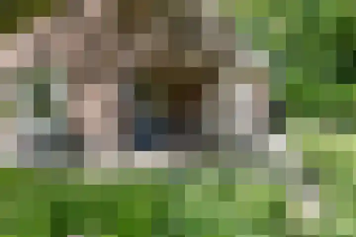 Pastorieweg 6 A Kantens thumbnail 41