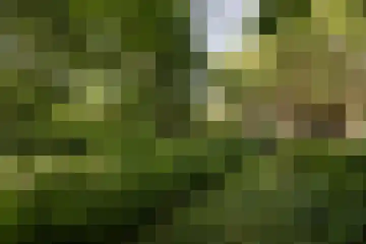 Pastorieweg 6 A Kantens thumbnail 43