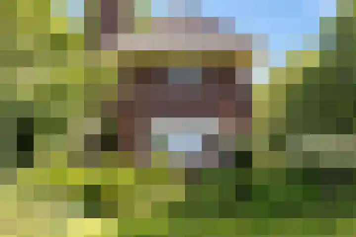 Pastorieweg 6 A Kantens thumbnail 6