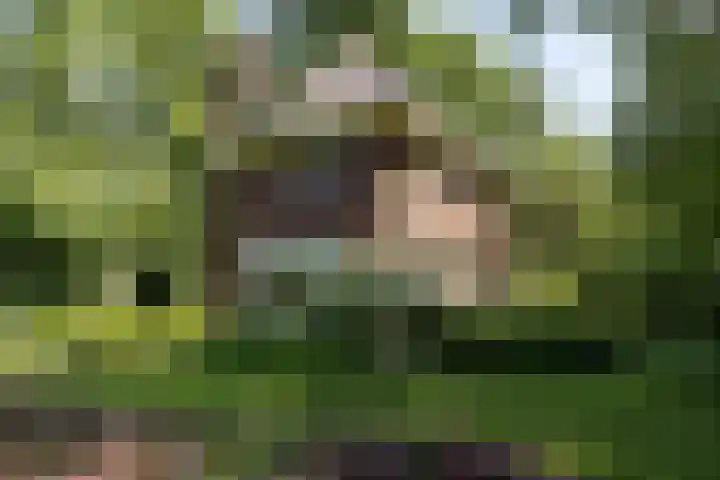 Pastorieweg 6 A Kantens thumbnail 7