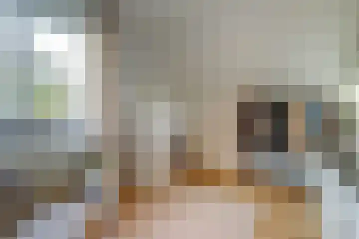 Pastorij 17 Vessem thumbnail 27
