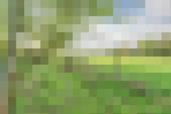 Pastorij 17 Vessem thumbnail 43