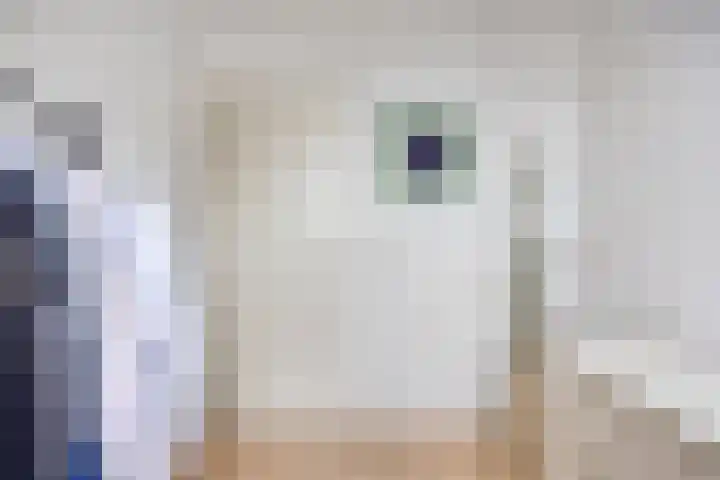 Pastorije 4 Tolbert thumbnail 23