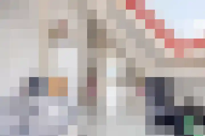 Pastorije 4 Tolbert thumbnail 26