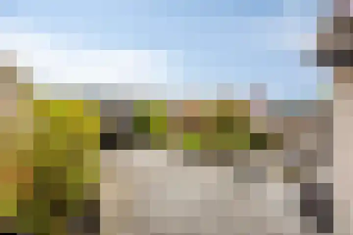 Pastorije 4 Tolbert thumbnail 28