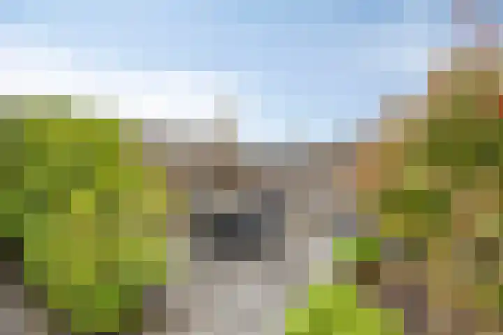 Pastorije 4 Tolbert thumbnail 30