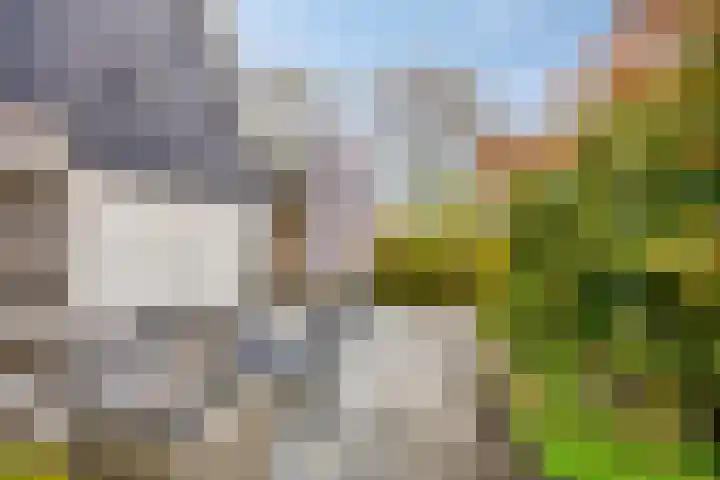 Pastorije 4 Tolbert thumbnail 31