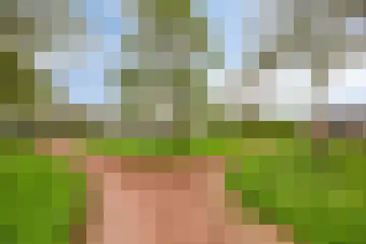 Pastorije 4 Tolbert thumbnail 33