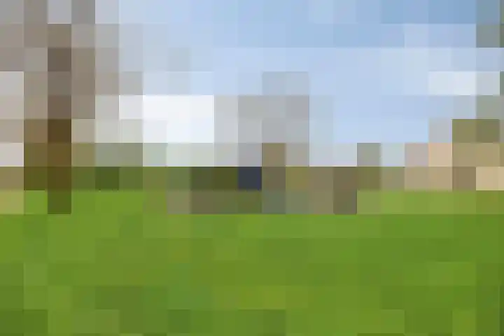 Pastorije 4 Tolbert thumbnail 34