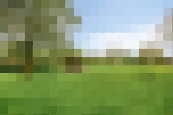 Pastorije 4 Tolbert thumbnail 35