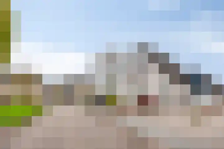 Pastorije 4 Tolbert thumbnail 40