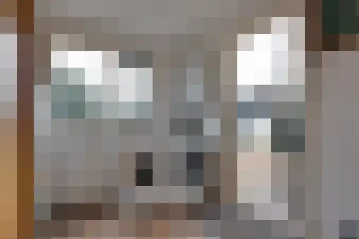 Pastorykamp 10 Drogeham thumbnail 15