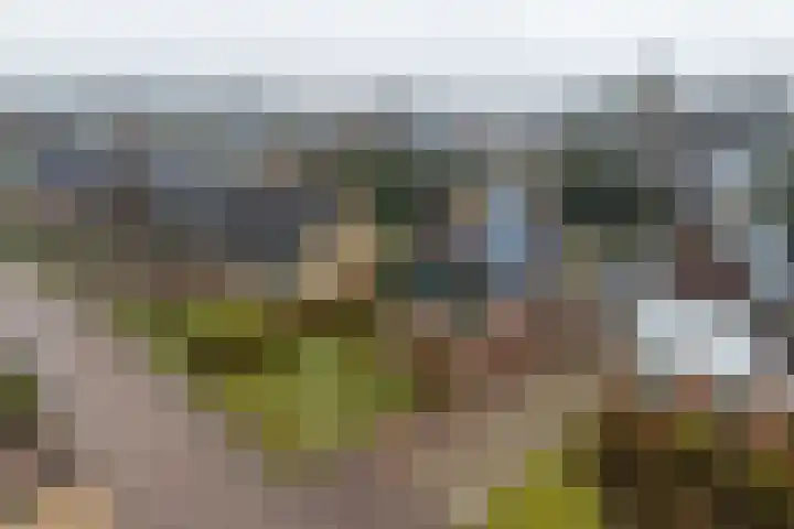 Pastorykamp 10 Drogeham thumbnail 27