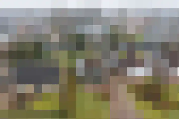 Pastorykamp 10 Drogeham thumbnail 28