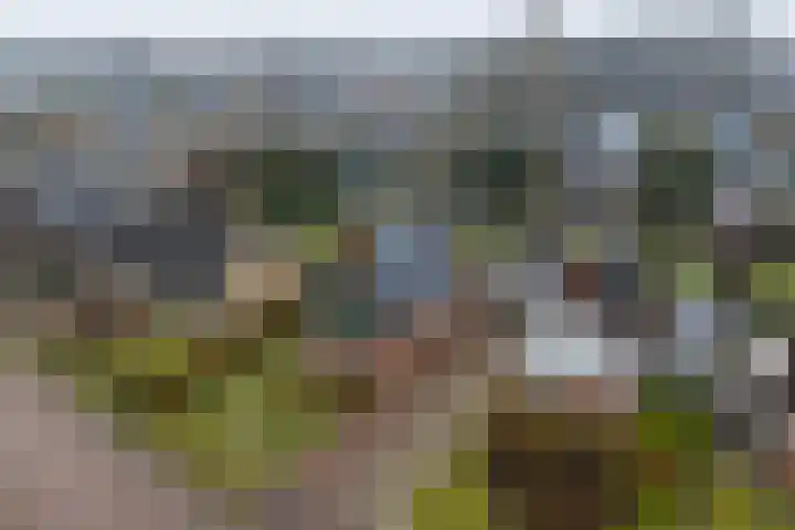 Pastorykamp 10 Drogeham thumbnail 30
