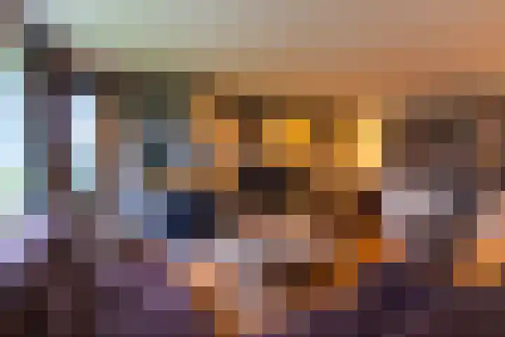 Pastoryleane 1 E Wjelsryp thumbnail 19