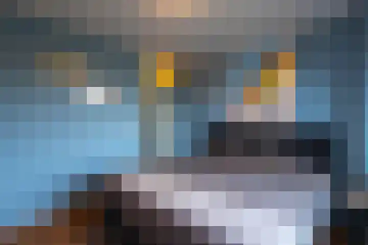 Pastoryleane 1 E Wjelsryp thumbnail 24