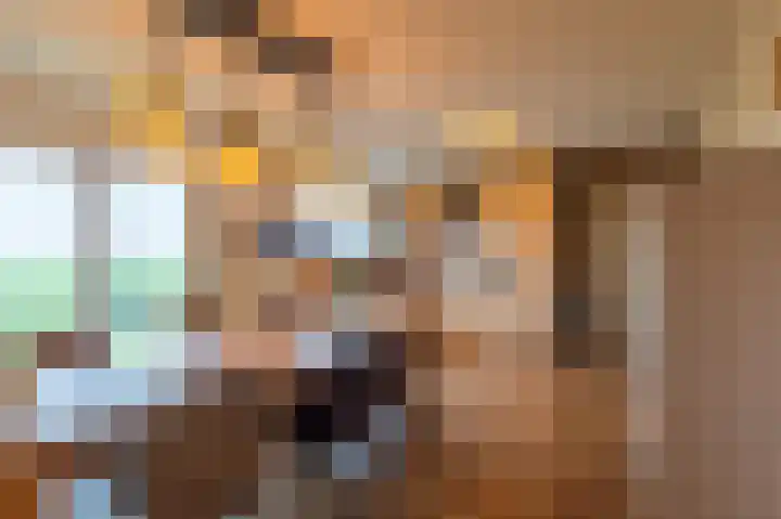 Pastoryleane 1 E Wjelsryp foto 3