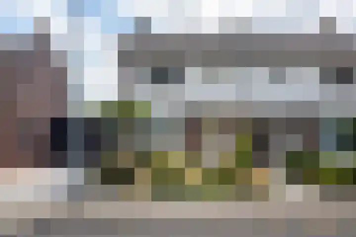 Pastpaedje 20 in Meijel