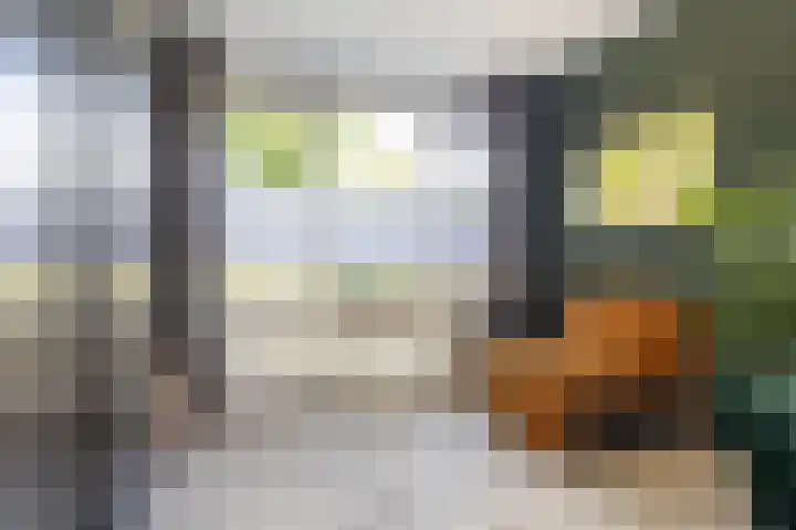 Pastpaedje 20 Meijel thumbnail 11
