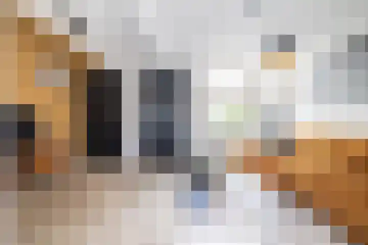 Pastpaedje 20 Meijel thumbnail 18