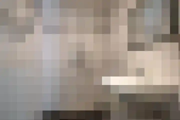 Pastpaedje 20 Meijel thumbnail 20