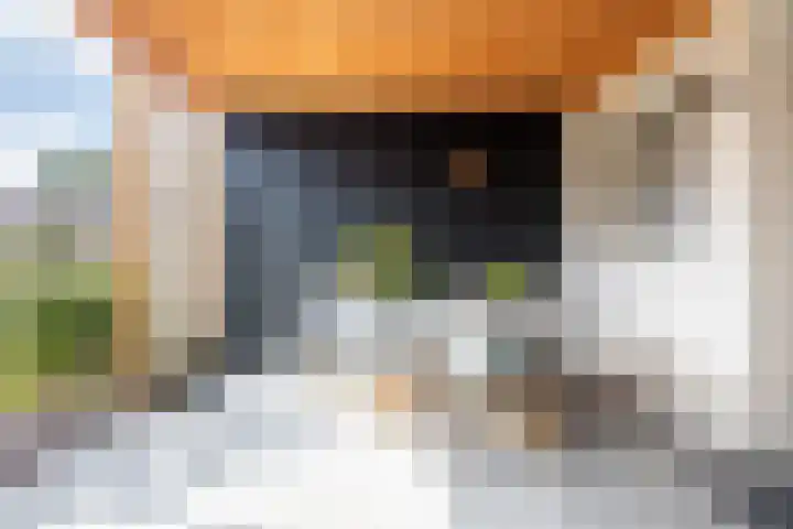 Pastpaedje 20 Meijel thumbnail 36
