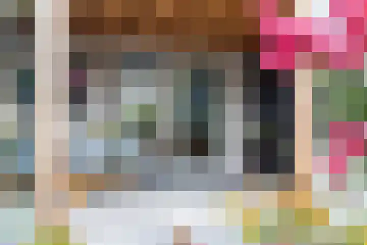 Pastpaedje 20 Meijel thumbnail 39