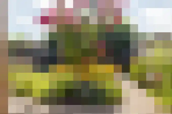 Pastpaedje 20 Meijel thumbnail 40