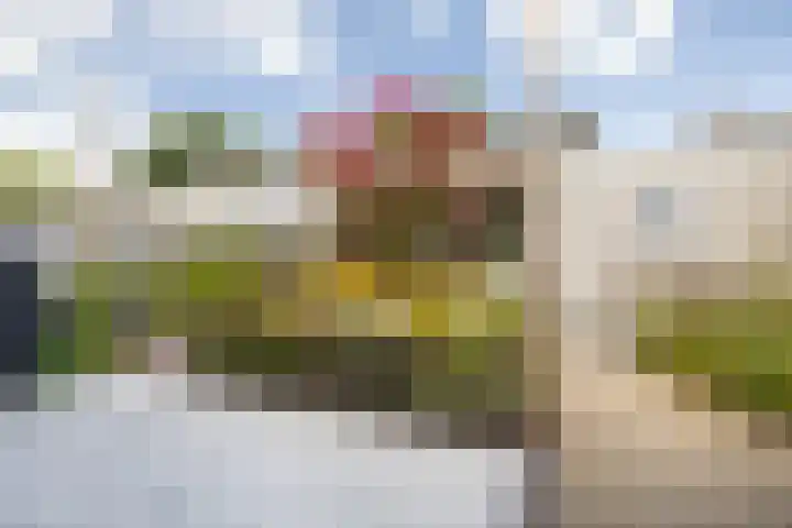 Pastpaedje 20 Meijel thumbnail 41